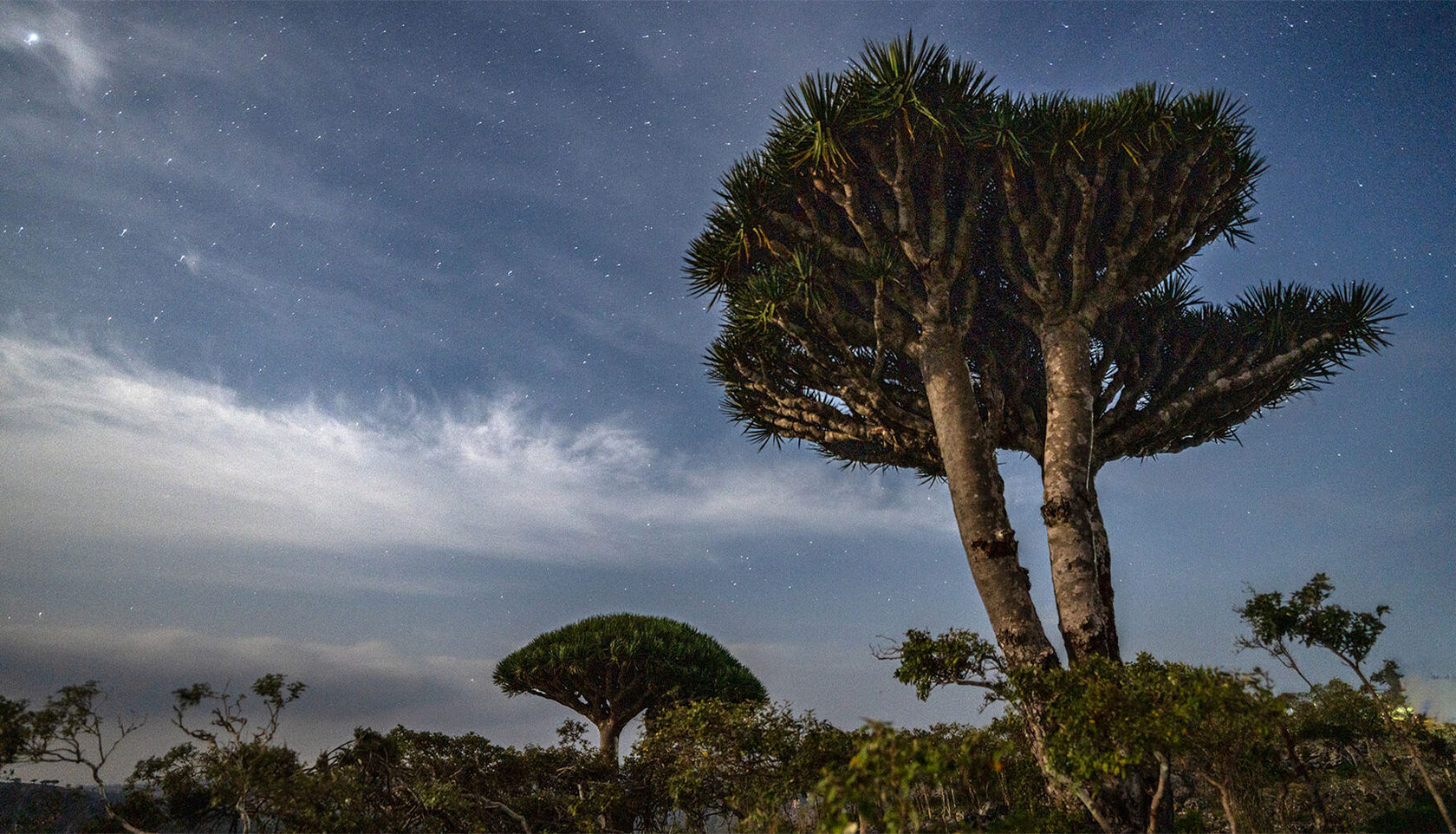 Остров Сокотра 2025